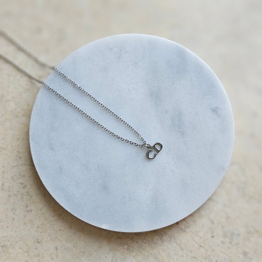 CD Dainty Silver Necklace