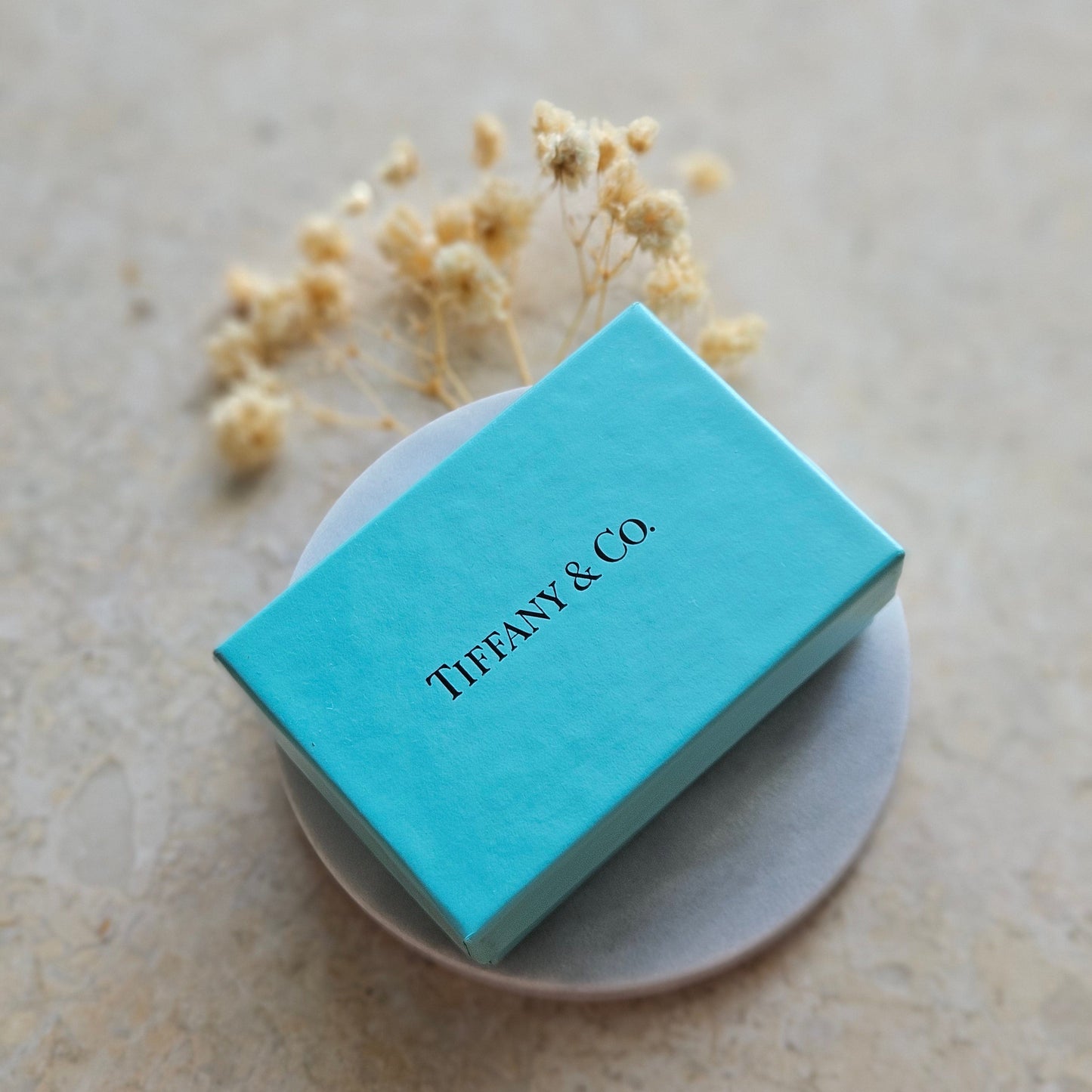 Tiffany & Co Iconic Bean Necklace (Original with box)